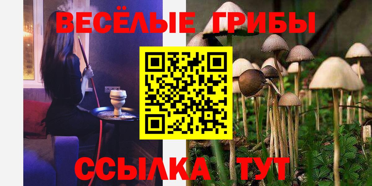 Псилоцибиновые грибы Cubensis Аксай